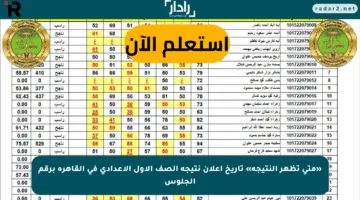 «متى تظهر النتيجة» تاريخ إعلان نتيجة الصف الأول الإعدادي في القاهرة برقم الجلوس